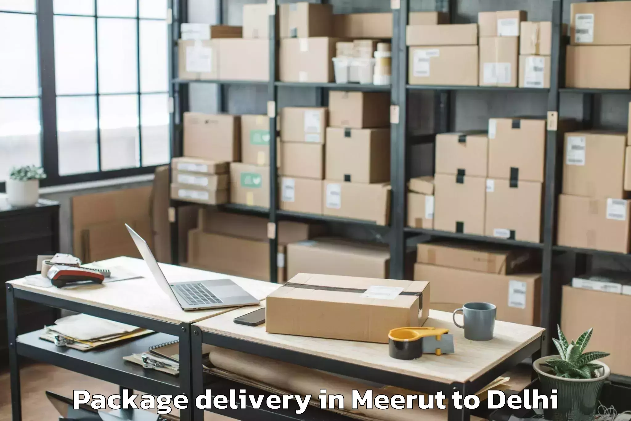 Top Meerut to Sansad Marg Package Delivery Available